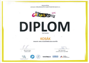Diplom Diplom